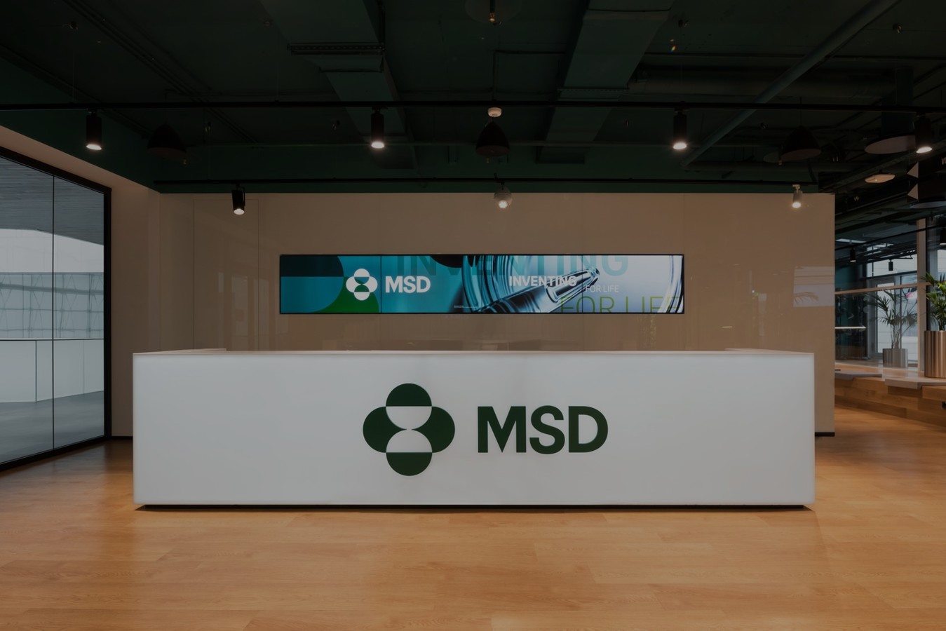 <p>MSD</p>